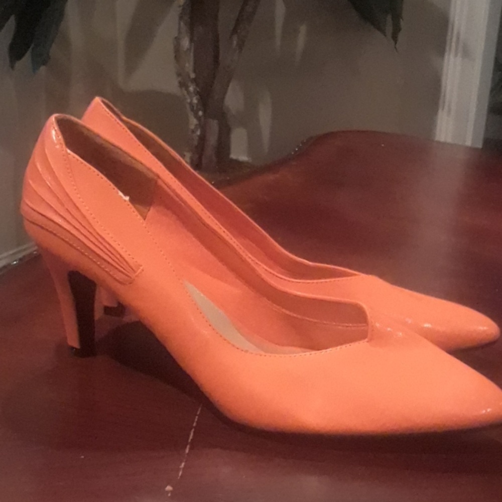 Ladies Shoe.